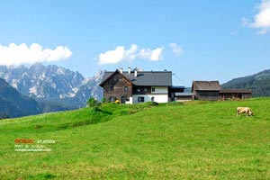 攜程網(wǎng)旅游12306(攜程網(wǎng)旅游團購票)